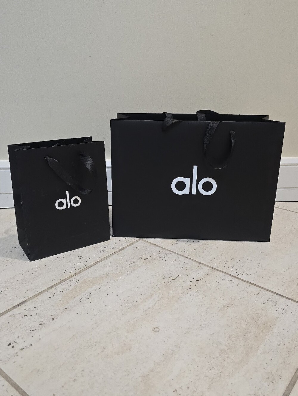 2 Alo shopping bags Large And Small